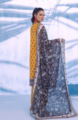 pakistani salwar suit