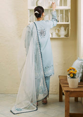 pakistani cotton suits