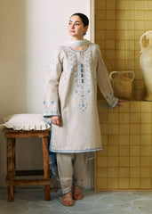 pakistani cotton suits