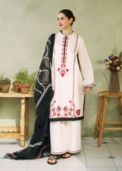 pakistani cotton suits