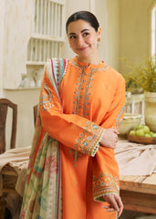 pakistani wedding dresses