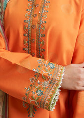 pakistani wedding dresses