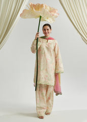 pakistani cotton suits