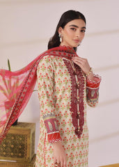 pakistani dress design