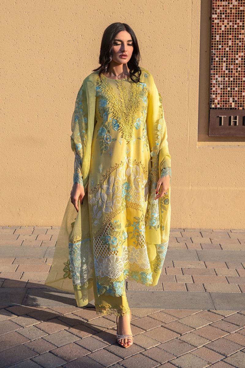 Rang Rasiya | Amani - Design 01 | Summer Lawn