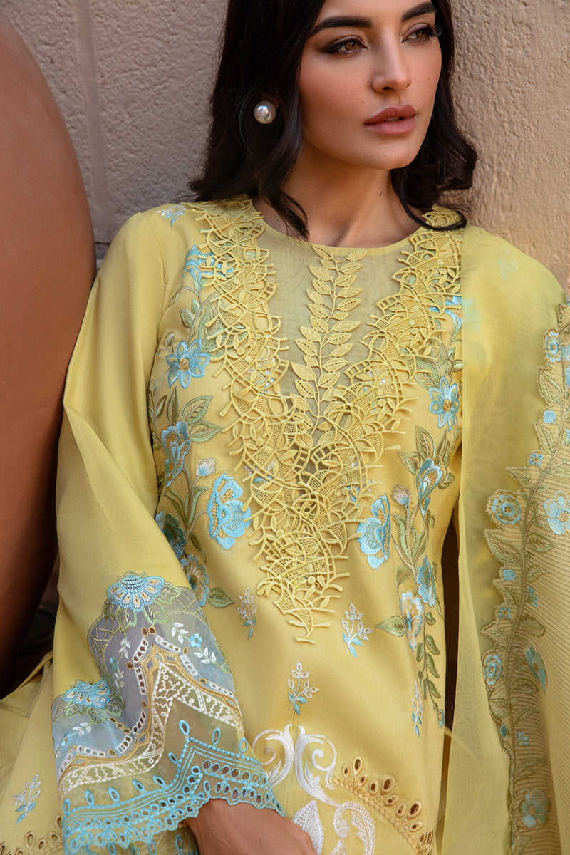 Rang Rasiya | Amani - Design 01 | Summer Lawn