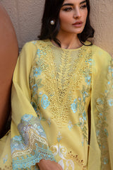 Rang Rasiya | Amani - Design 01 | Summer Lawn