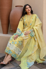 Rang Rasiya | Amani - Design 01 | Summer Lawn