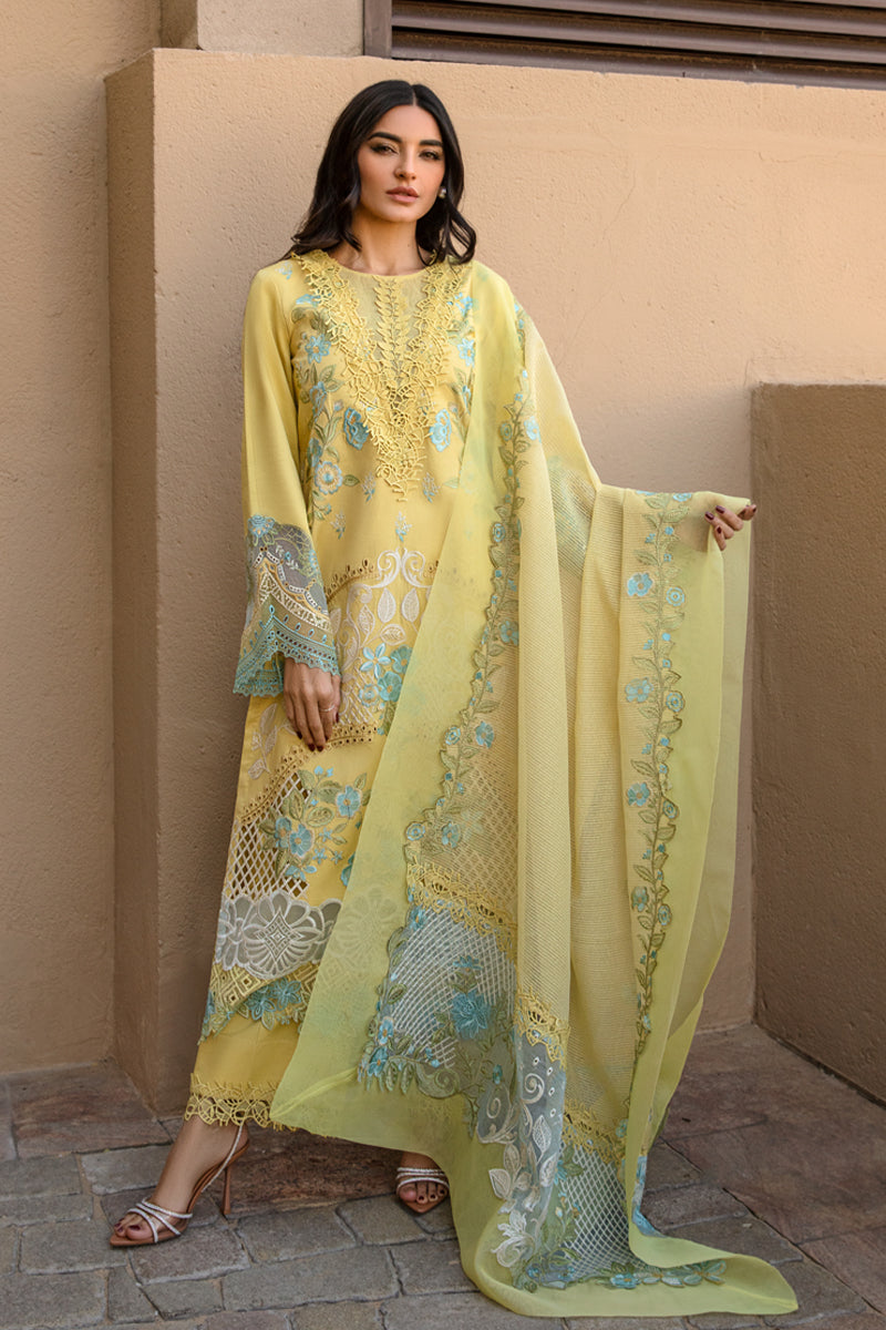 Rang Rasiya | Amani - Design 01 | Summer Lawn