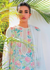 Qalamkar | Amari - RT-06 | Summer Lawn