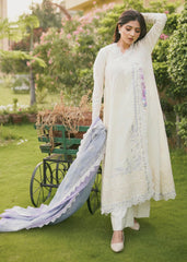 Surmai | Cindrella - SI-05-02 | Summer Lawn