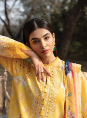 pakistani kurta set