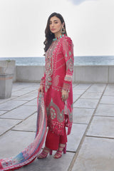 party wear pakistani suits