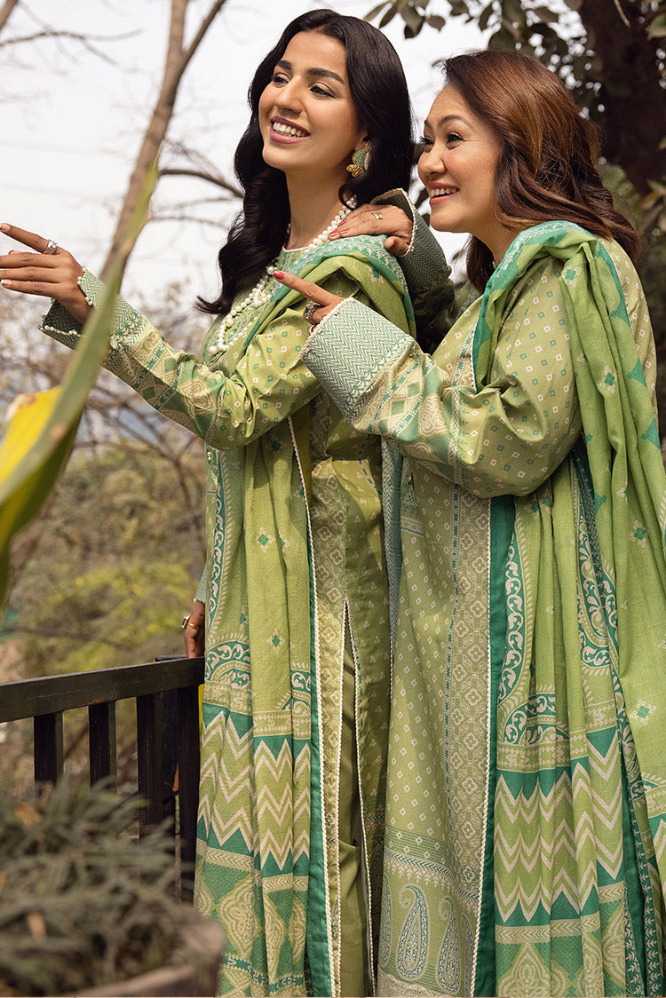 pakistani lawn suits