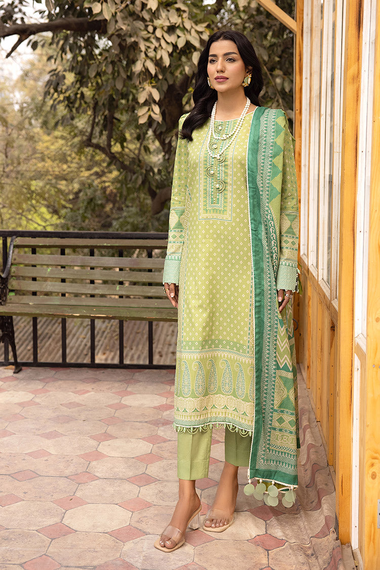 pakistani lawn suits