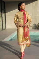 pakistani suits online india