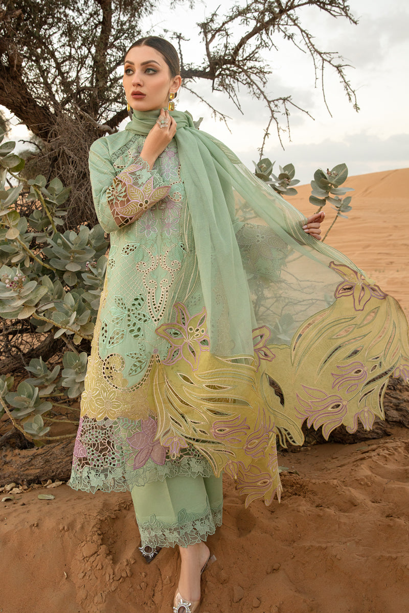 Rang Rasiya | Elnaz - Design 08 | Summer Lawn