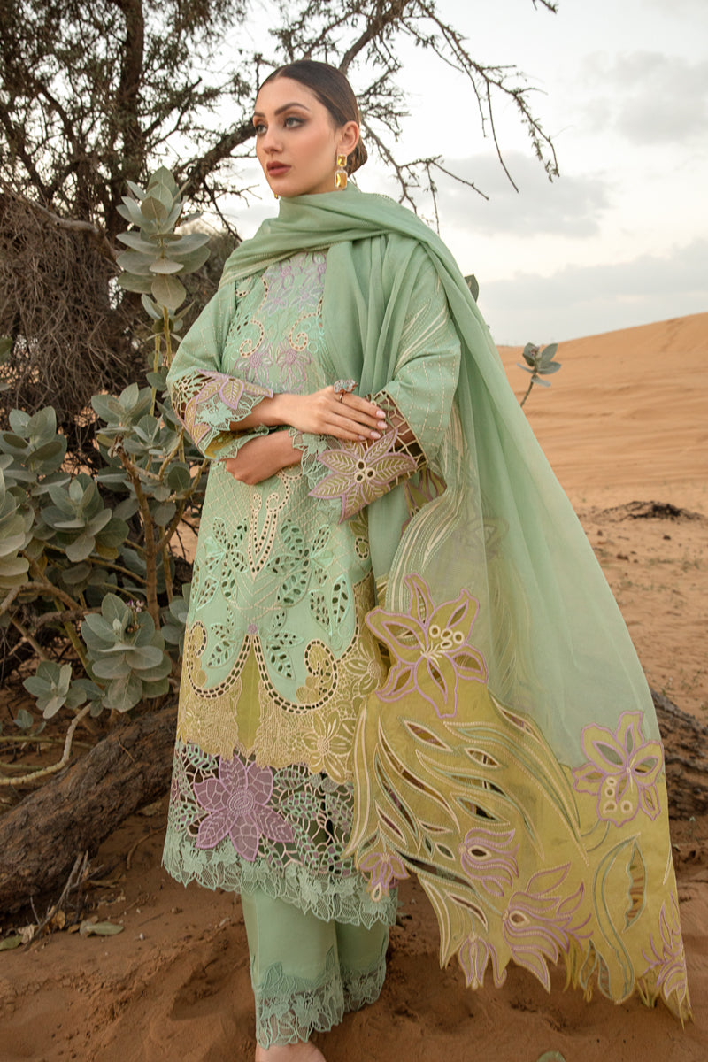 Rang Rasiya | Elnaz - Design 08 | Summer Lawn