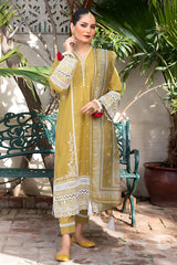 pakistani dresses