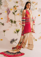 pakistani suits online