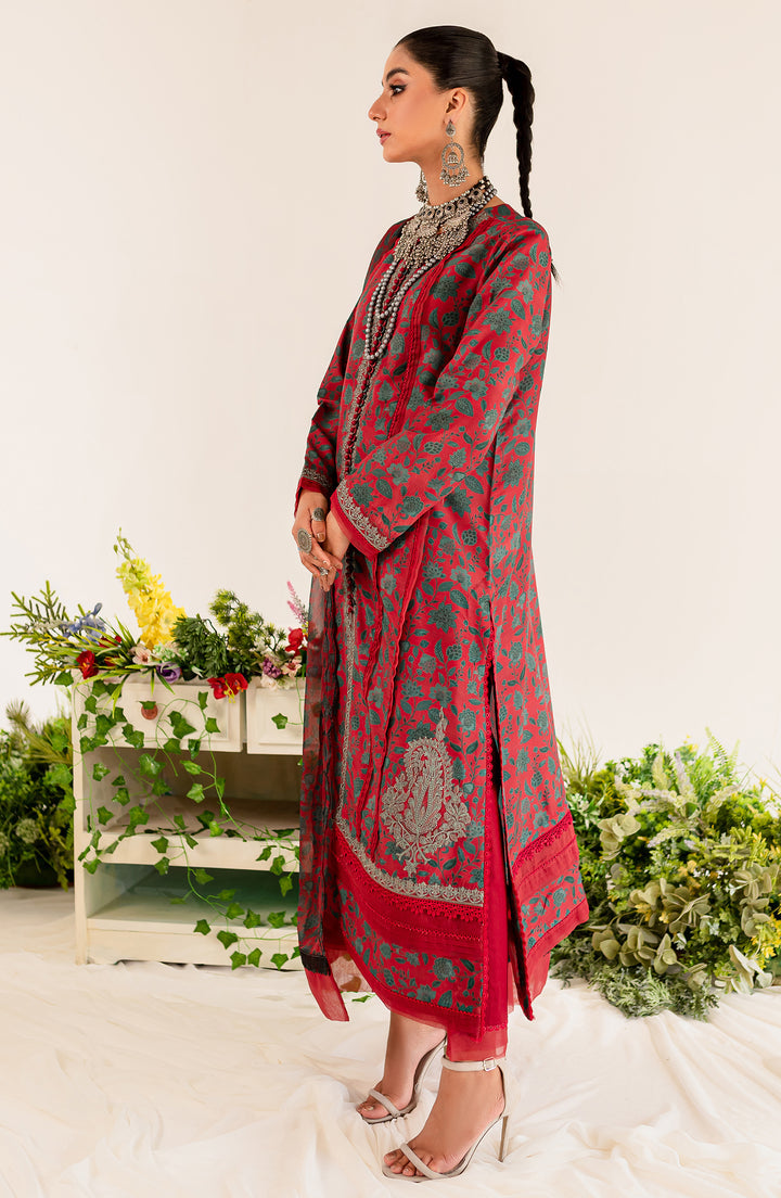 pakistani suit design