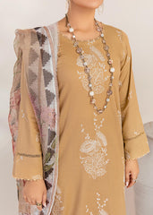 new pakistani dress patterns