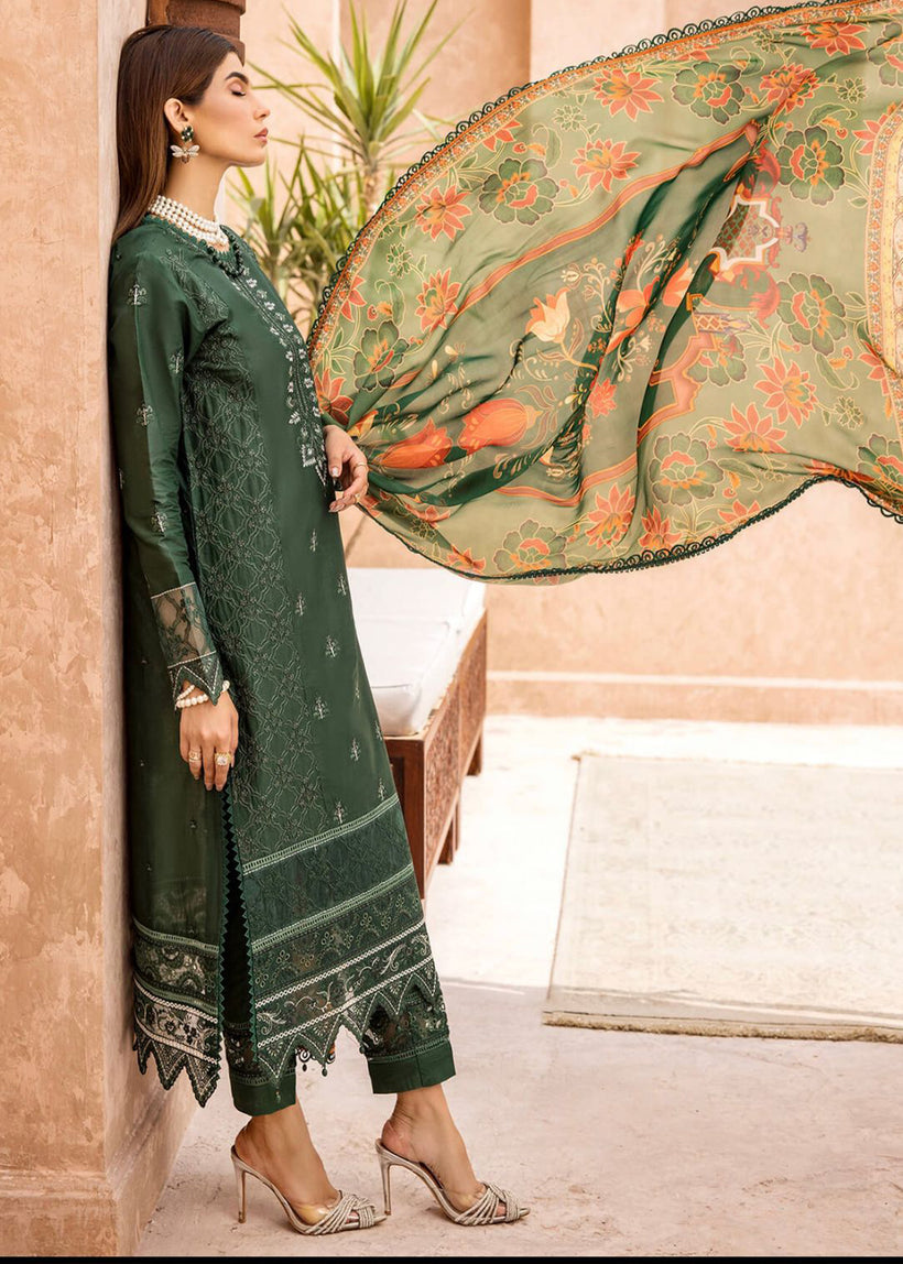 Shazme | Forest Green - SH-03 | Summer Lawn