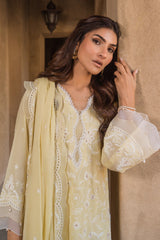 pakistani kurti