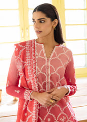 pakistani salwar suit