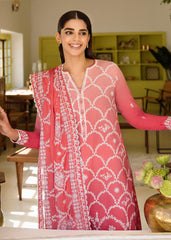 pakistani salwar suit