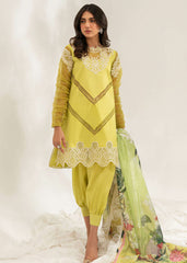 pakistani suits online